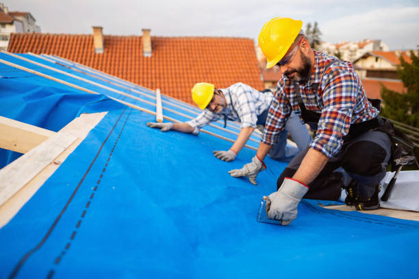 Best Roof Restoration Services  in Acushnet Center, MA